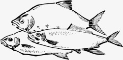 简约海鱼手绘线描鱼图形高清图片