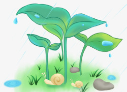 蜗牛插画手绘小清新植物元素高清图片