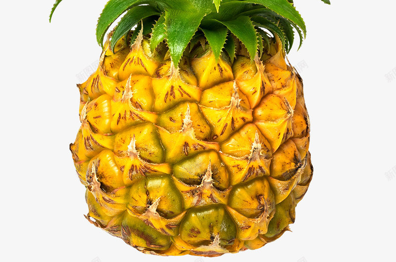 黄色菠萝png免抠素材_新图网 https://ixintu.com 一个 不规则外表 凤梨 夏天 多汁 绿色叶子 黄色