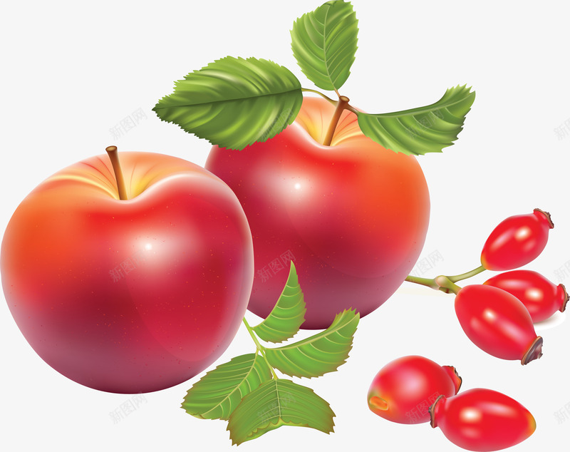 3D手绘食物苹果png免抠素材_新图网 https://ixintu.com 3d 卡通水果 卡通水果图片 手绘 水果 水果剪影 水果矢量图 苹果 食物 食物图片