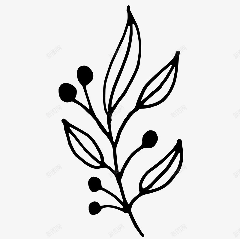 黑色线条植物图标png_新图网 https://ixintu.com PNG图形 植物 花叶 花朵 装饰 黑色