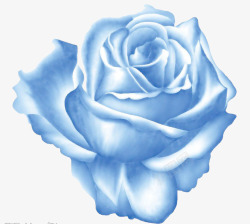 手绘蓝色玫瑰花素材
