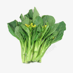 白菜菜花葱一把新鲜绿色广东菜心菜花健康美高清图片