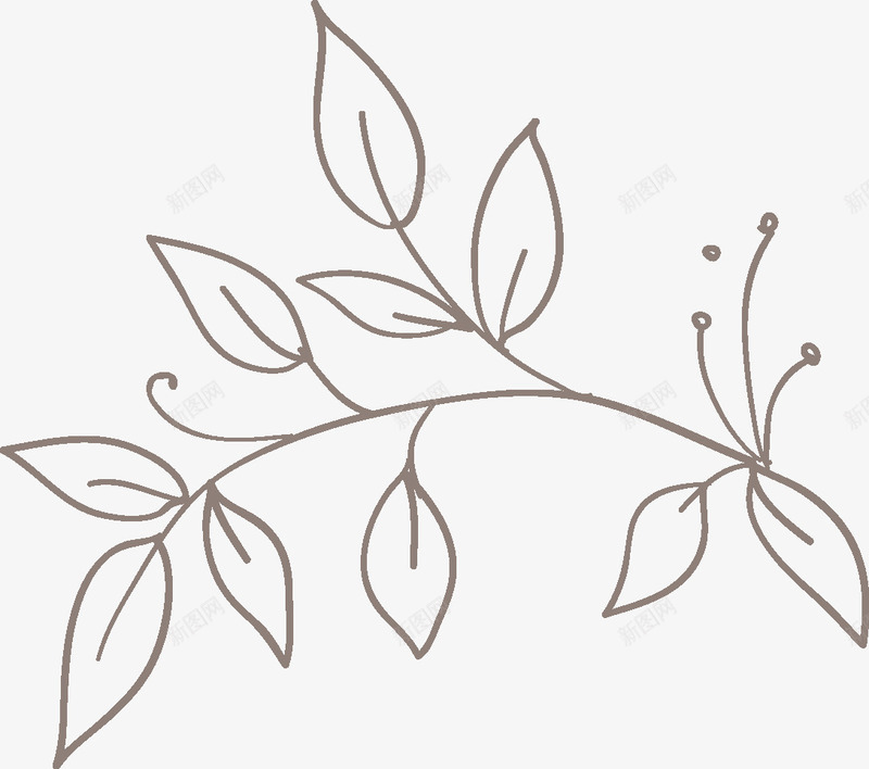 手绘的枝叶图标png_新图网 https://ixintu.com png图形 png装饰 手绘 枝叶 树叶 装饰