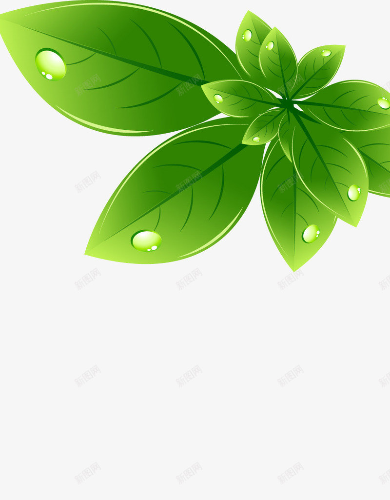 绿叶鲜花展架模板png_新图网 https://ixintu.com X展架设计 x展架 叶子 展架 树叶 海报素材 炫彩展架 绿色