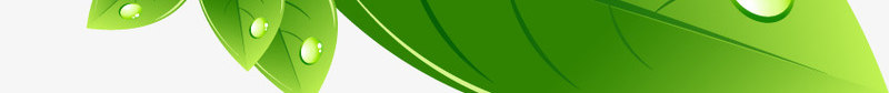 绿叶鲜花展架模板png_新图网 https://ixintu.com X展架设计 x展架 叶子 展架 树叶 海报素材 炫彩展架 绿色