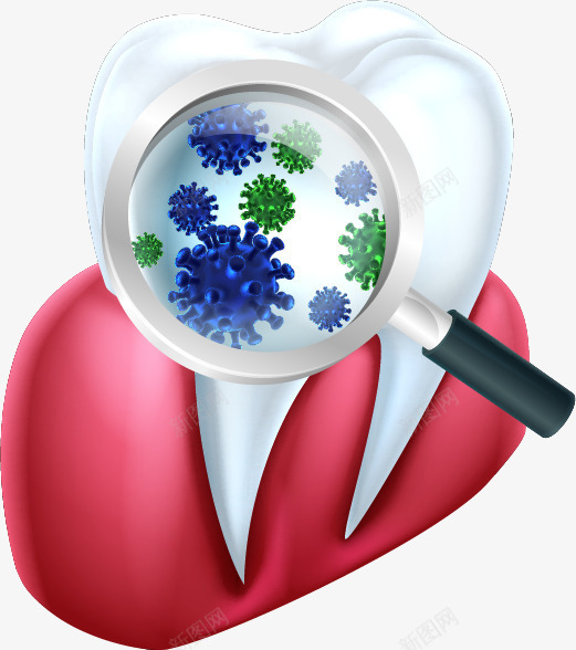牙齿上的细菌png免抠素材_新图网 https://ixintu.com png图形 png装饰 放大镜 牙齿 细菌 装饰