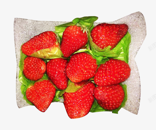 草莓采摘一堆图标png_新图网 https://ixintu.com 3D图片 3d图标 一堆草莓 卡通3d水果图片 摄影 新鲜 水果 水果图标 素描 草莓 草莓采摘 草莓采摘园 食物