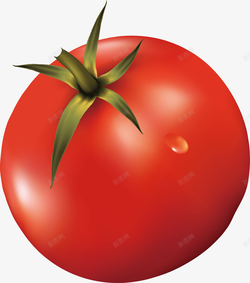 新鲜蔬菜之西红柿png免抠素材_新图网 https://ixintu.com 健康 农副 新鲜 红色 蔬菜