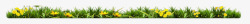 小草分割线小草花朵边框元素高清图片