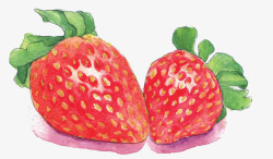 食欲草莓素材