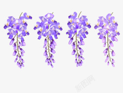 紫色植物花朵图案素材
