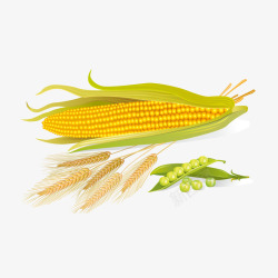 玉米稻草杂粮食物高清图片