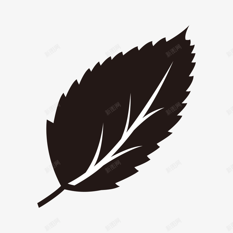 黑色的树叶图标png_新图网 https://ixintu.com png图形 png装饰 树叶 植物 装饰 黑色