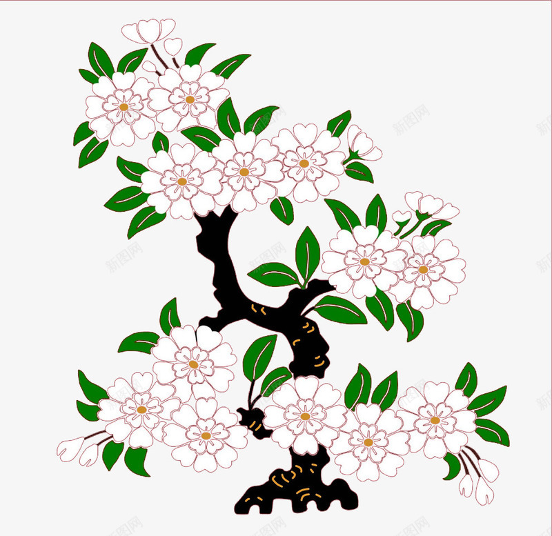 日本樱花png免抠素材_新图网 https://ixintu.com 叶子 文化艺术 日式 樱花树 白色 红色底 绿色 设计