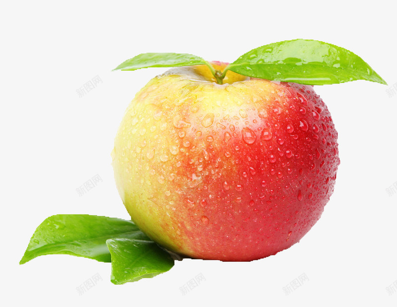 水果图案手绘水果清新苹果图标png_新图网 https://ixintu.com 3D图片 手绘 手绘图片 手绘素材 水果图标 清新 素描 红苹果 苹果 食物卡通