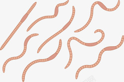 卡通花朵蛇蚯蚓蠕虫蚯蚓高清图片