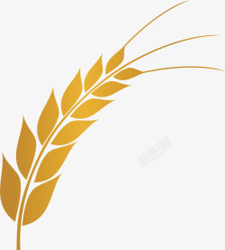 金黄小麦小麦黄色食物矢量图高清图片