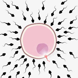 繁衍可爱生物卵细胞图形高清图片