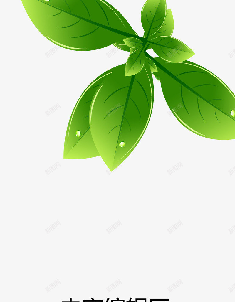 绿色树叶展架模板png_新图网 https://ixintu.com X展架设计 x展架 叶子 展架 树叶 海报素材 炫彩展架 绿色