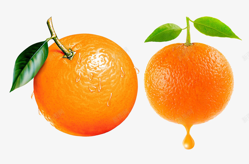 两个柳橙png免抠素材_新图网 https://ixintu.com 两个 果实 柳橙 橙子 水果 食物