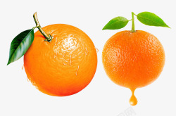 柳橙两个柳橙高清图片