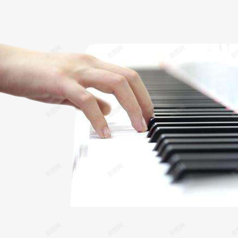 唯美弹钢琴的手特写摄影图png免抠素材_新图网 https://ixintu.com 人物摄影 唯美 弹钢琴 弹钢琴的手 手 手指 摄影