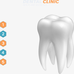 牙科就诊图牙齿信息图表矢量图高清图片