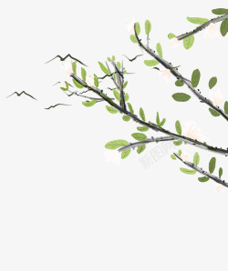 淡雅插图手绘水彩清新淡雅插图树枝树叶插高清图片