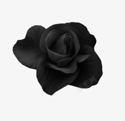 创意手绘黑色玫瑰花素材