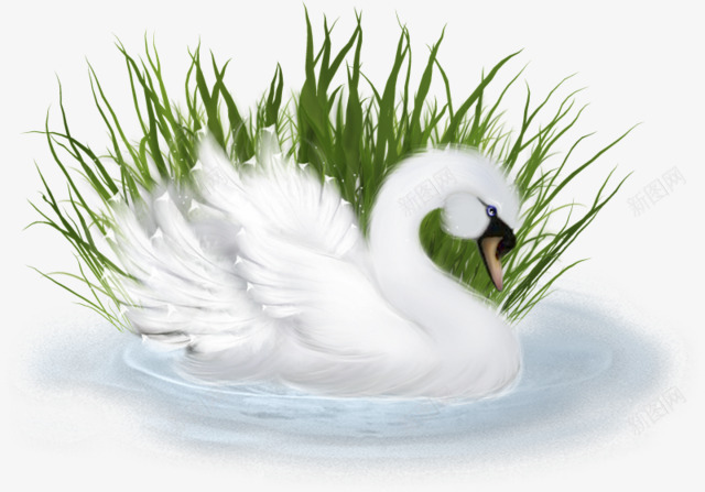 3D白色天鹅草丛图形png免抠素材_新图网 https://ixintu.com 3D 3D白色天鹅草丛免抠图形 免抠 图形 天鹅 白色 草丛