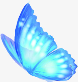 蓝色羽翼蝴蝶装扮婚礼素材
