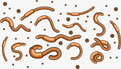 蠕虫蚯蚓土壤高清图片
