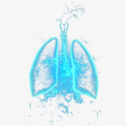 蓝色肺部素材