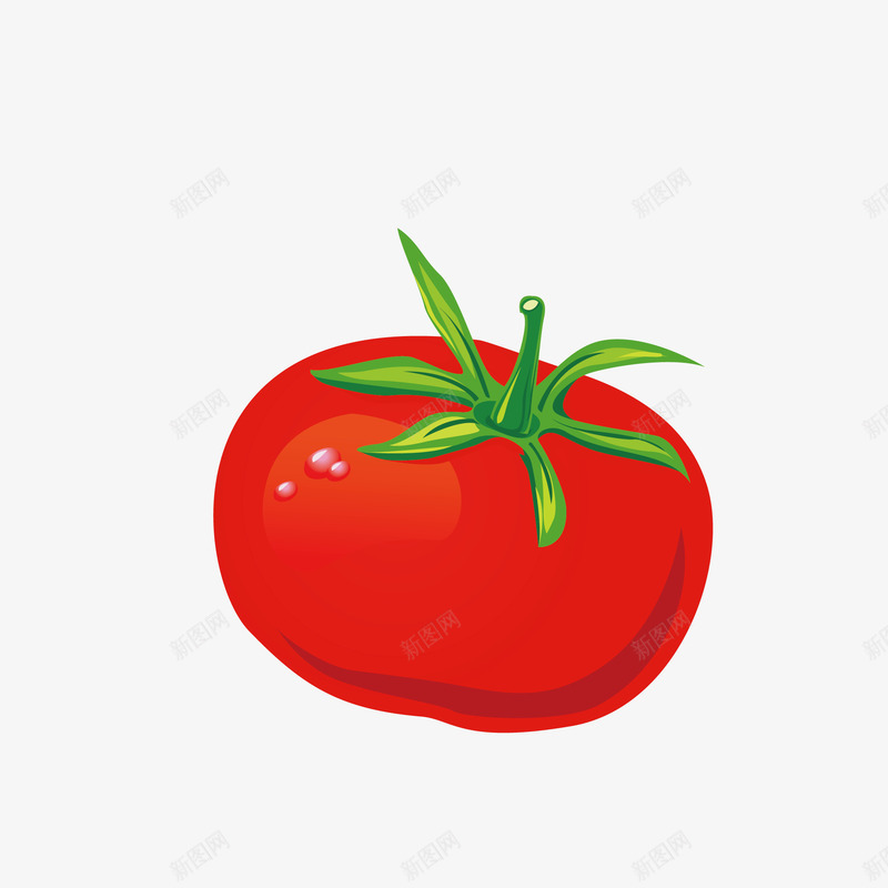 鲜红西红柿矢量图eps免抠素材_新图网 https://ixintu.com 农副 新鲜 生活 红色 蔬菜 矢量图