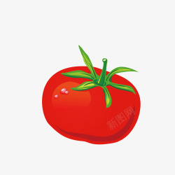 鲜红西红柿矢量图素材