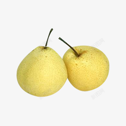 两个酥梨png免抠素材_新图网 https://ixintu.com 两个 梨子 水果 酥梨 食物