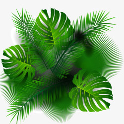 绿色散尾葵俯视图形素材