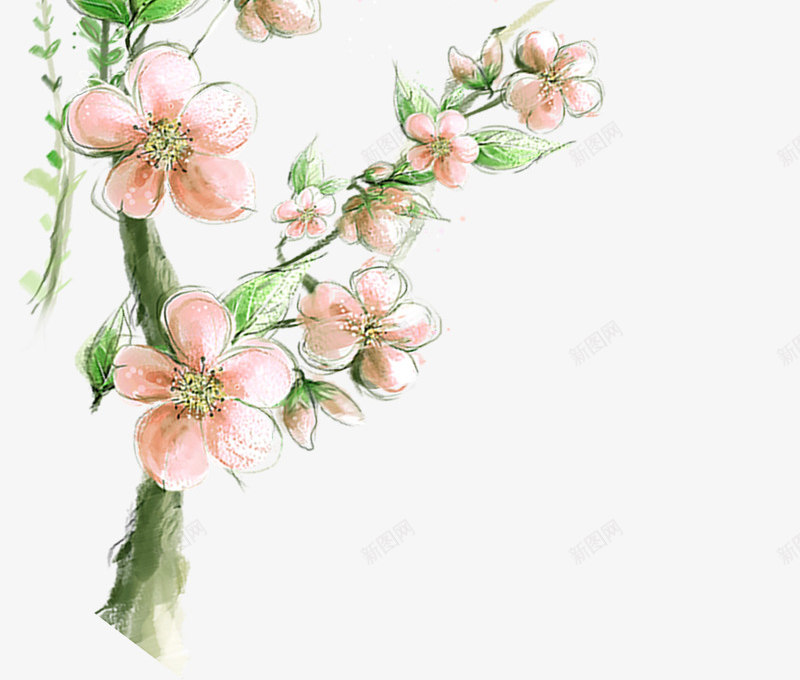 清新花朵植物装饰手绘png免抠素材_新图网 https://ixintu.com 植物 清新 花朵 装饰