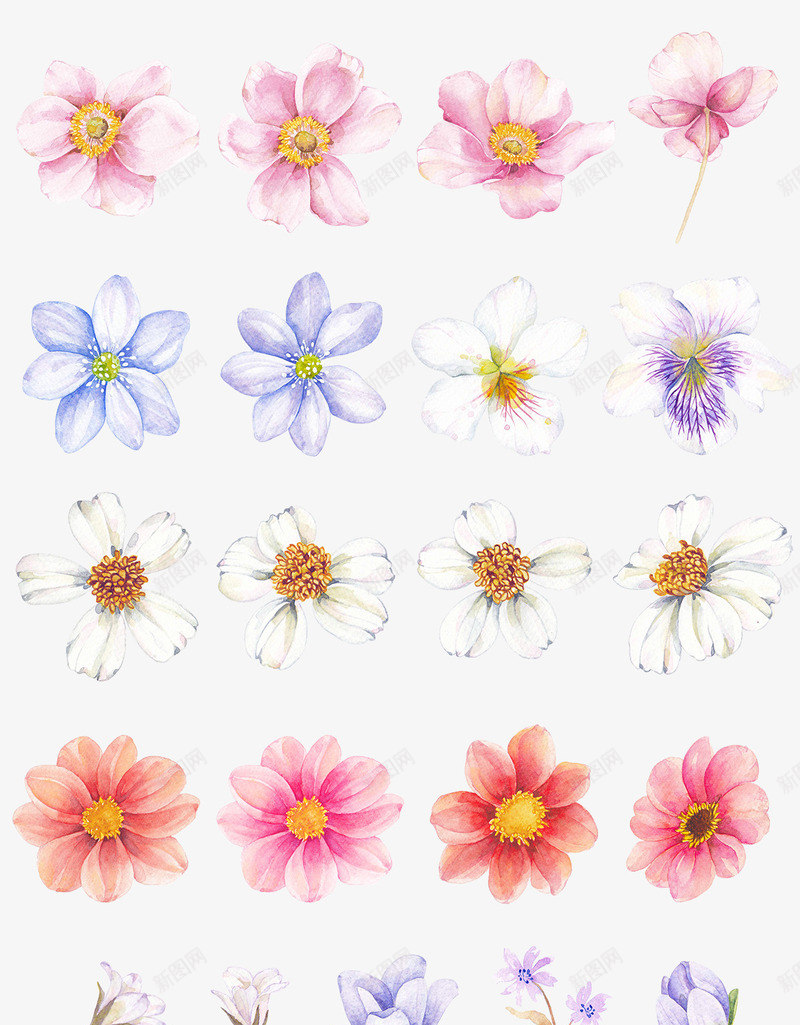 植物花朵小清新涂鸦png免抠素材_新图网 https://ixintu.com 植物 涂鸦 涂鸦主题 清新 花朵