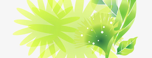 绿色植物展架模板png_新图网 https://ixintu.com X展架设计 x展架 展架 植物 海报素材 炫彩展架 绿色