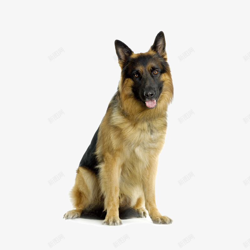 警犬造型图形png免抠素材_新图网 https://ixintu.com 军犬 动物 图形 忠犬 警犬 造型