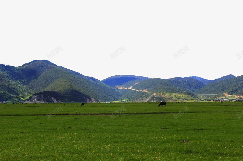 草原风景png免抠素材_新图网 https://ixintu.com 内蒙草原 唯美 山坡 草原 风景