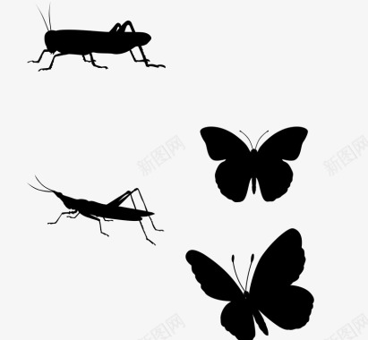 黑色的昆虫图标图标