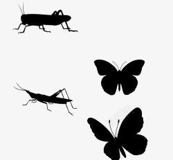昆虫图标黑色的昆虫图标高清图片
