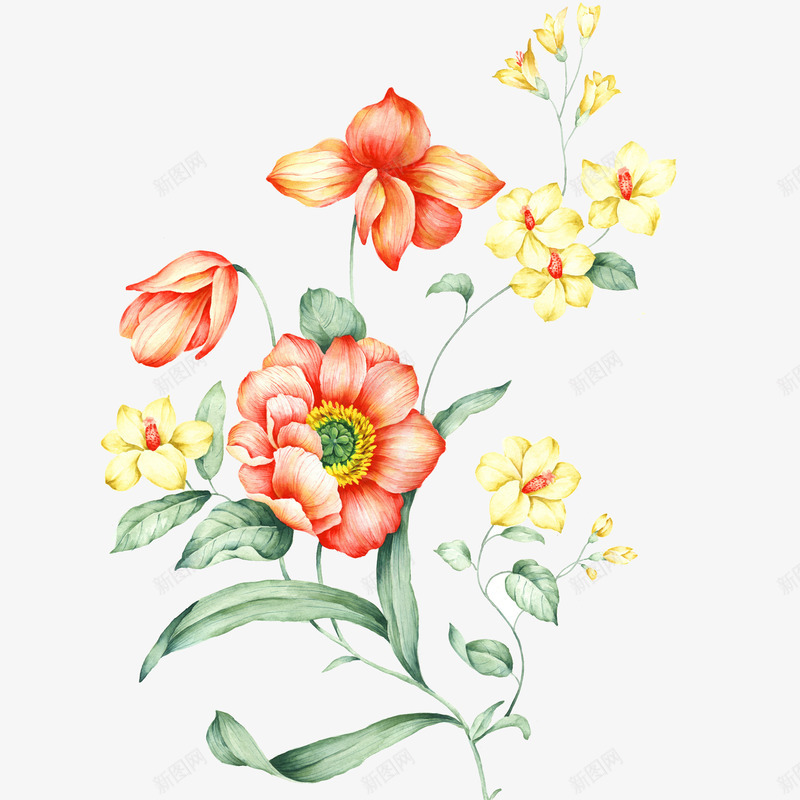 中国风手绘花卉png免抠素材_新图网 https://ixintu.com PNG图形 PNG装饰 手绘 植物 花朵 装饰