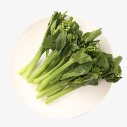 海白菜食材一盘子新鲜绿色菜心食材淘宝插图高清图片