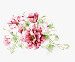 粉色小清新手绘花朵装饰图案素材