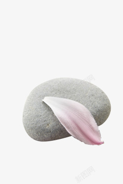 粉色花瓣鹅卵石素材