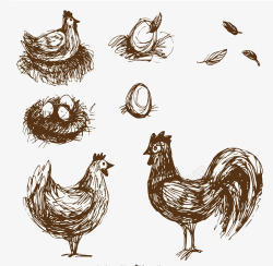 手绘的鸡和鸡蛋素材